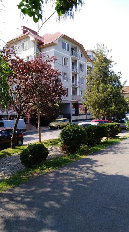 Просторная квартира с видом на горы Мукачево Экстерьер фото